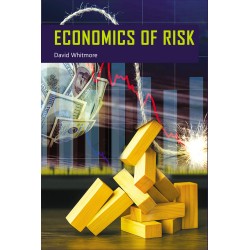 Economics of Risk